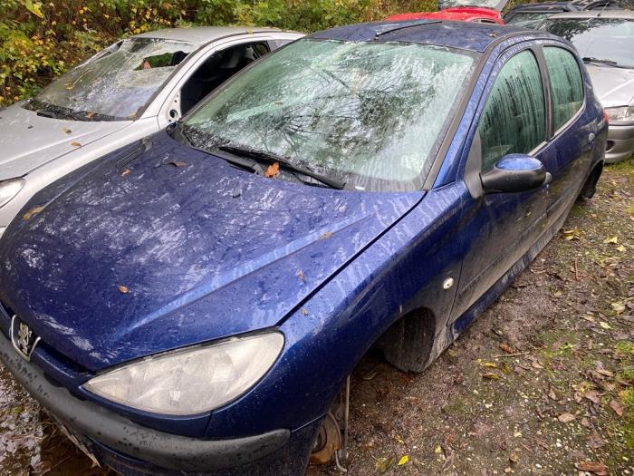 Peugeot 206 1.4 XR,XS,XT,Gentry Sloopvoertuig (2006, Blauw)