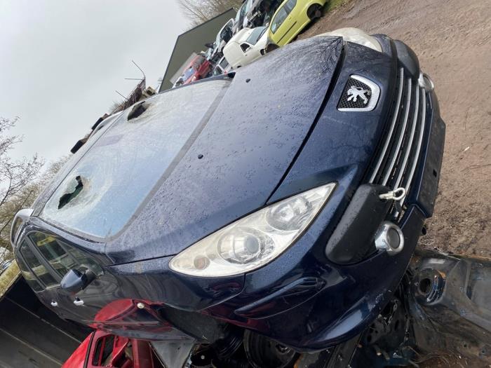 Peugeot 307 SW 2.0 16V Sloopvoertuig (2008, Blauw)
