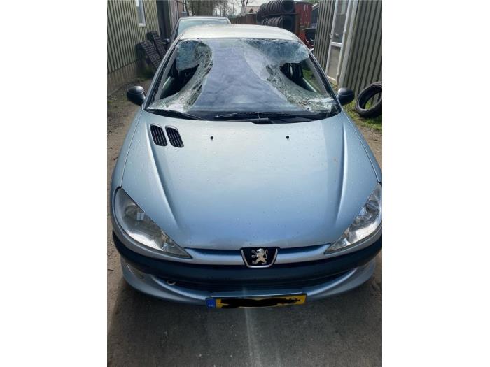 Peugeot 206 1.6 16V Sloopvoertuig (2001, Grijs)