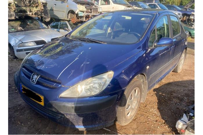 Peugeot 307 1.6 16V Sloopvoertuig (2003, Blauw)