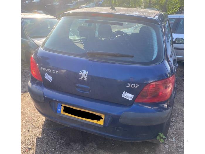 Peugeot 307 1.6 16V Sloopvoertuig (2003, Blauw)