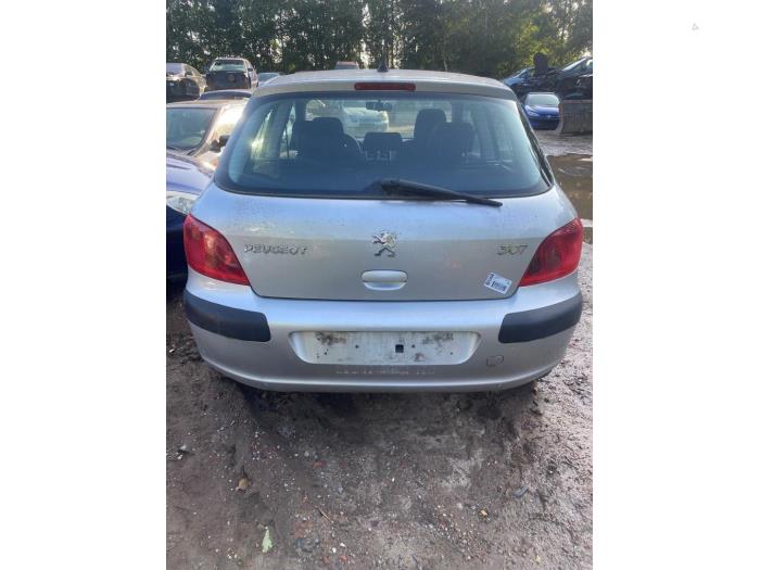 Peugeot 307 1.4 16V Sloopvoertuig (2004, Grijs)