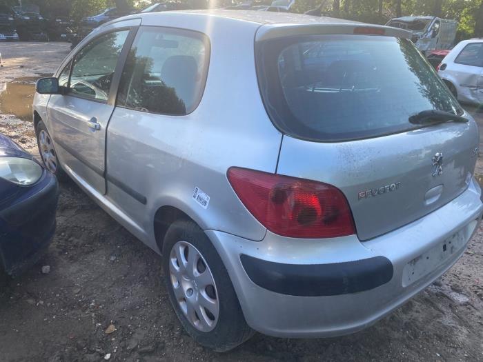 Peugeot 307 1.4 16V Sloopvoertuig (2004, Grijs)