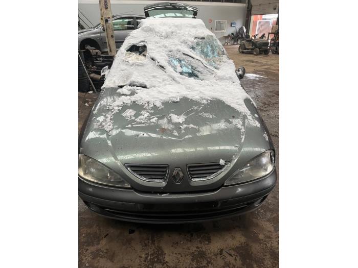 Renault Megane Break/Grandtour 1.6 16V RXE,RXT Sloopvoertuig (2001, Grijs)