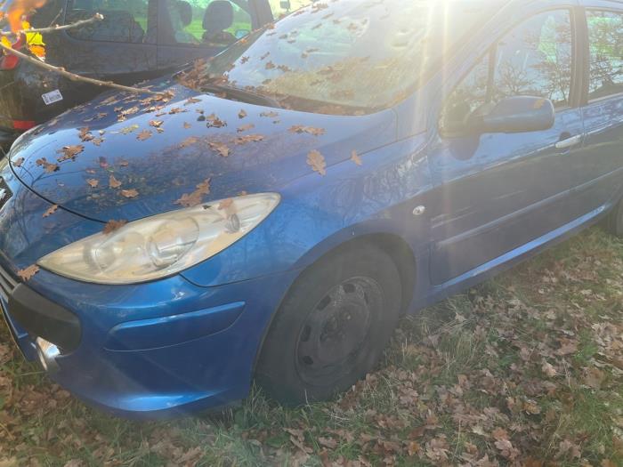 Peugeot 307 SW 1.6 HDi 16V Sloopvoertuig (2007, Blauw)