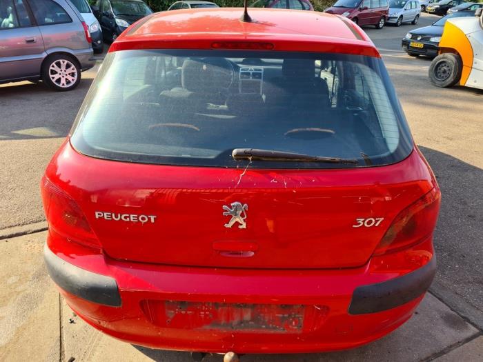 Peugeot 307 1.6 16V Sloopvoertuig (2002, Rood)