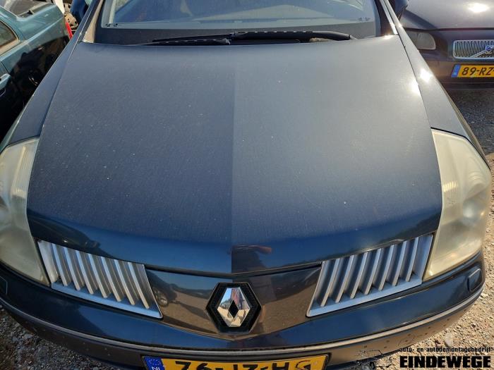 Renault Vel Satis 3.5 V6 24V Autom. Sloopvoertuig (2002, Grijs)