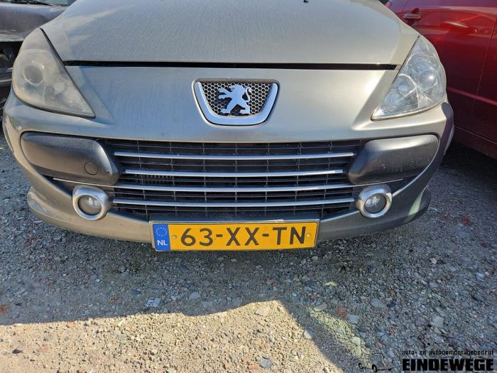 Peugeot 307 SW 1.6 HDiF 110 16V Sloopvoertuig (2007, Grijs)