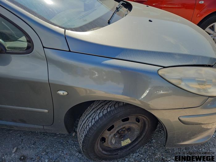 Peugeot 307 SW 1.6 HDiF 110 16V Sloopvoertuig (2007, Grijs)