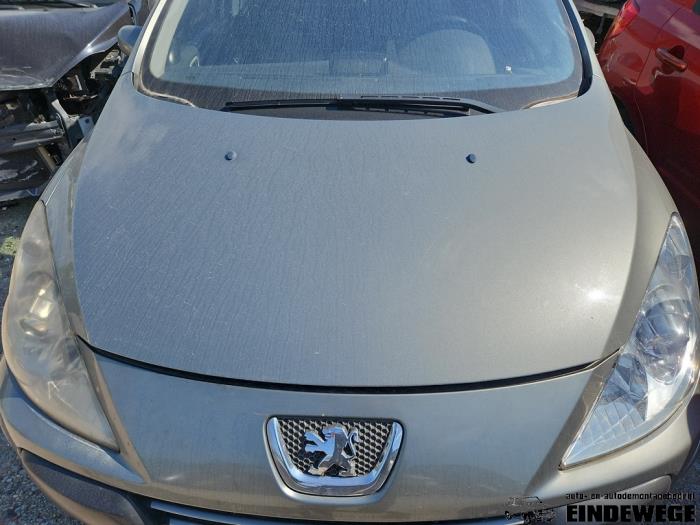 Peugeot 307 SW 1.6 HDiF 110 16V Sloopvoertuig (2007, Grijs)
