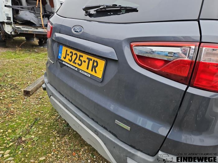 Ford EcoSport 1.0 EcoBoost 12V 125 Sloopvoertuig (2016, Grijs)