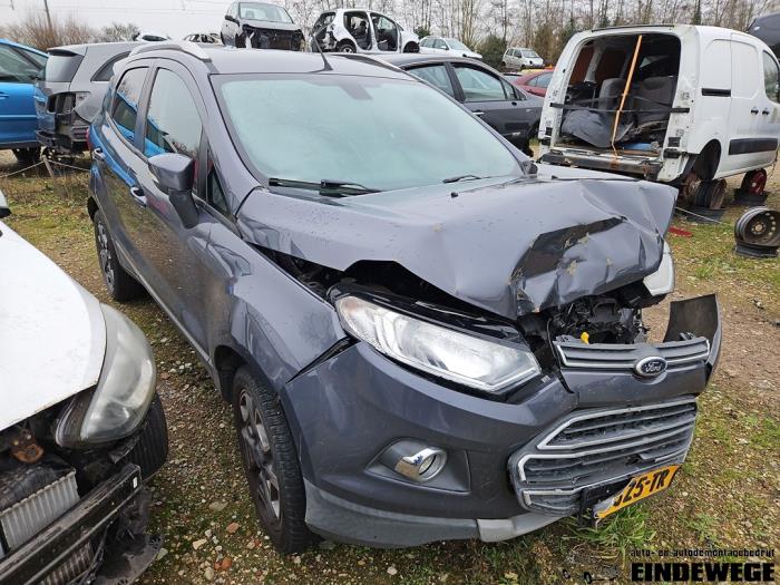 Ford EcoSport 1.0 EcoBoost 12V 125 Sloopvoertuig (2016, Grijs)