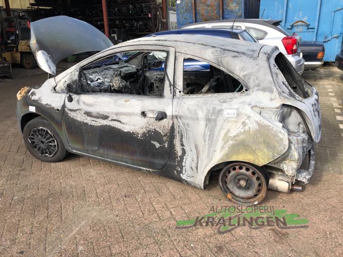 Foto donor auto