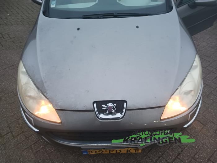 Peugeot 407 3.0 V6 24V VVT Sloopvoertuig (2004, Grijs)
