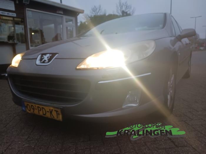 Peugeot 407 3.0 V6 24V VVT Sloopvoertuig (2004, Grijs)