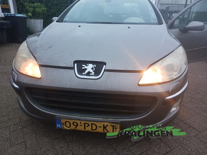 Peugeot 407 3.0 V6 24V VVT Sloopvoertuig (2004, Grijs)
