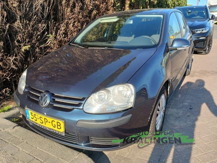 Volkswagen Golf V 1.4 FSI 16V Sloopvoertuig (2006, Blauw)
