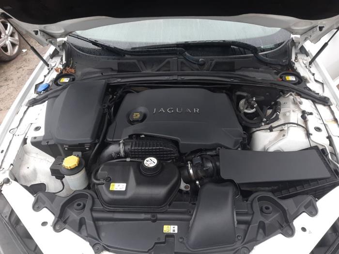 Jaguar XF Sportbrake 3.0 D S V6 24V Sloopvoertuig (2013, Wit)