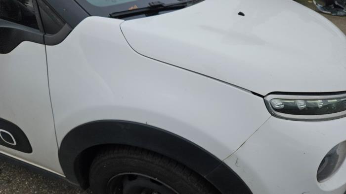 Citroen C3 1.6 Blue HDi 75 16V Sloopvoertuig (2019, Wit)