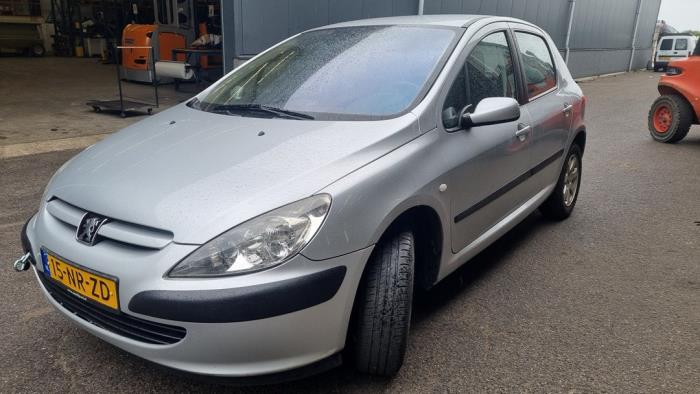 Peugeot 307 1.6 16V Sloopvoertuig (2004, Grijs)