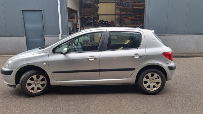 Peugeot 307 1.6 16V Sloopvoertuig (2004, Grijs)