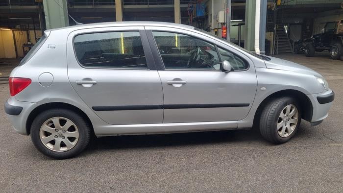 Peugeot 307 1.6 16V Sloopvoertuig (2004, Grijs)