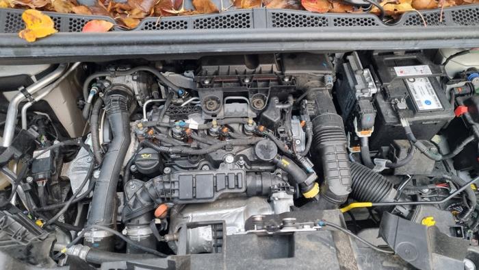 Citroen Berlingo 1.5 BlueHDi 100 Sloopvoertuig (2021, Wit)