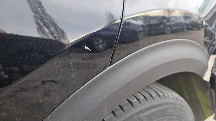 Kia Niro I E-Niro 64 kWh Sloopvoertuig (2021)