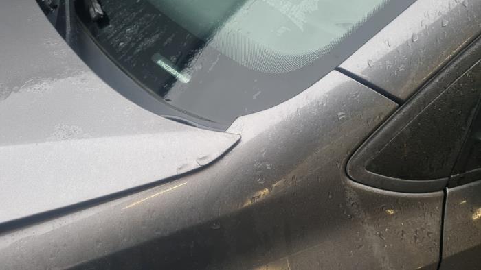 Volkswagen Polo V 1.2 TSI Sloopvoertuig (2011, Grijs)