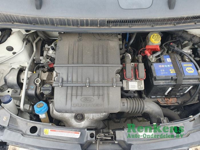 Ford Ka II 1.2 Sloopvoertuig (2011, Wit)