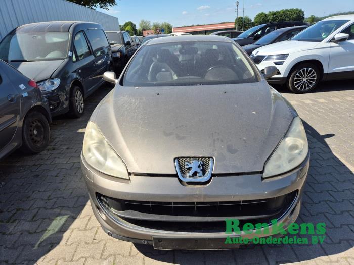 Peugeot 407 3.0 V6 24V VVT Sloopvoertuig (2006, Bruin)