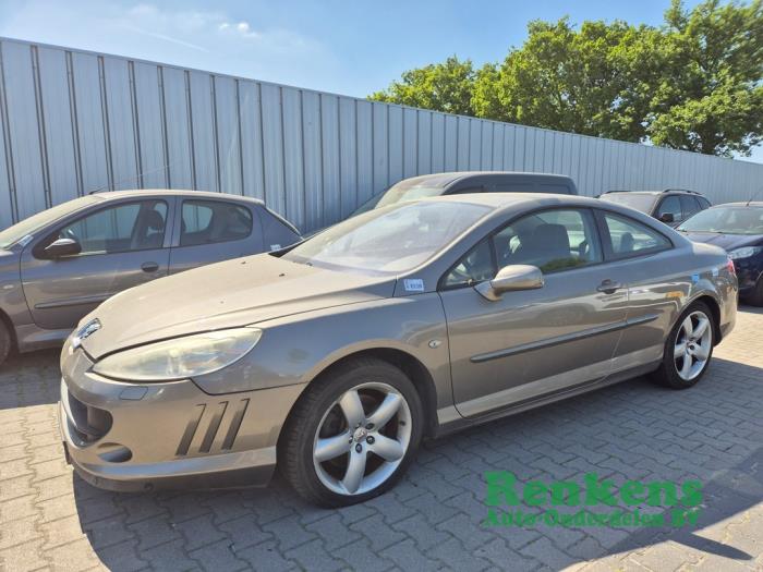 Peugeot 407 3.0 V6 24V VVT Sloopvoertuig (2006, Bruin)