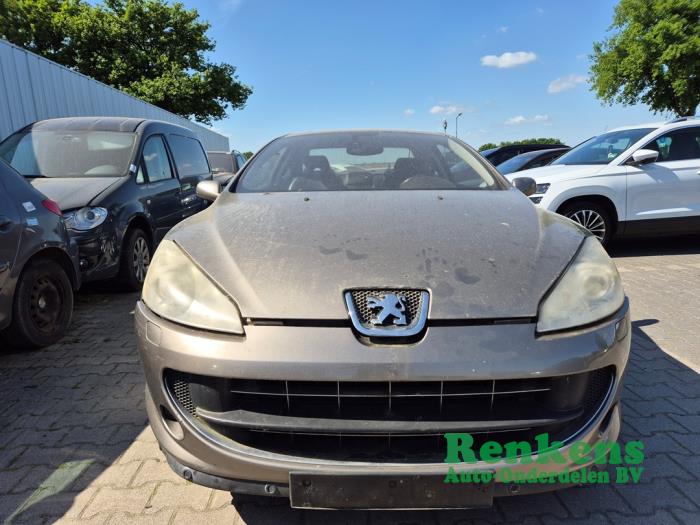 Peugeot 407 3.0 V6 24V VVT Sloopvoertuig (2006, Bruin)