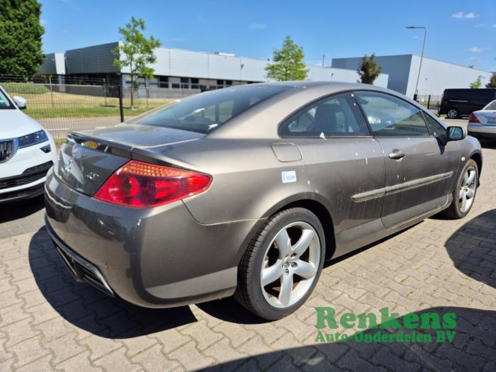 Peugeot 407 3.0 V6 24V VVT Sloopvoertuig (2006, Bruin)