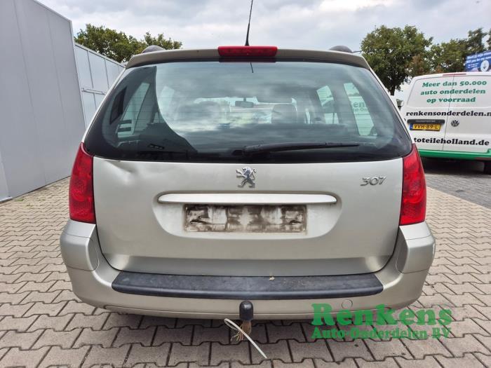 Peugeot 307 Break 1.6 16V Sloopvoertuig (2006, Metallic, Beige)