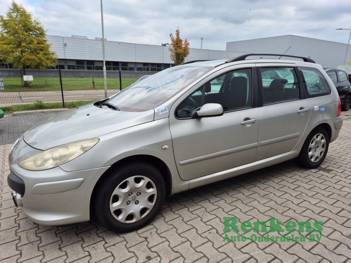 Peugeot 307 Break 1.6 16V Sloopvoertuig (2006, Metallic, Beige)