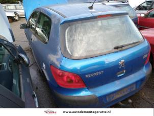 Demontage auto Peugeot 307 2000-2009 210257 Demontage auto Peugeot 307 2000-2009 210257