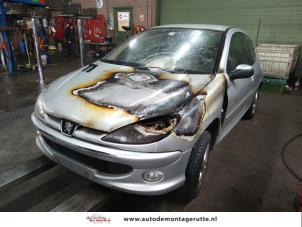 Demontage auto Peugeot 206 1998-2012 210773 Demontage auto Peugeot 206 1998-2012 210773