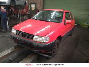 Demontage auto Volkswagen Polo 1994-1999 213950 Demontage auto Volkswagen Polo 1994-1999 213950