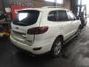 Hyundai Santafe (V100976)