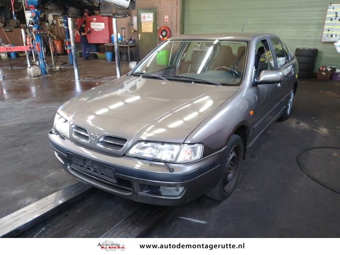Nissan Primera (V107361)