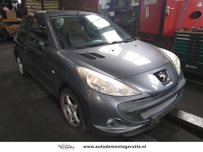 Peugeot 206+ 1.4 XS Sloopvoertuig (2010, Grijs)