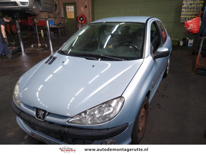 Peugeot 206 1.6 16V Sloopvoertuig (2002, Grijs)
