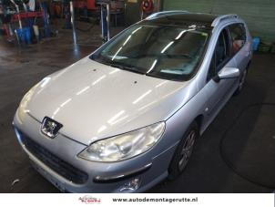 Peugeot 407 SW 2.0 16V  (Sloop)