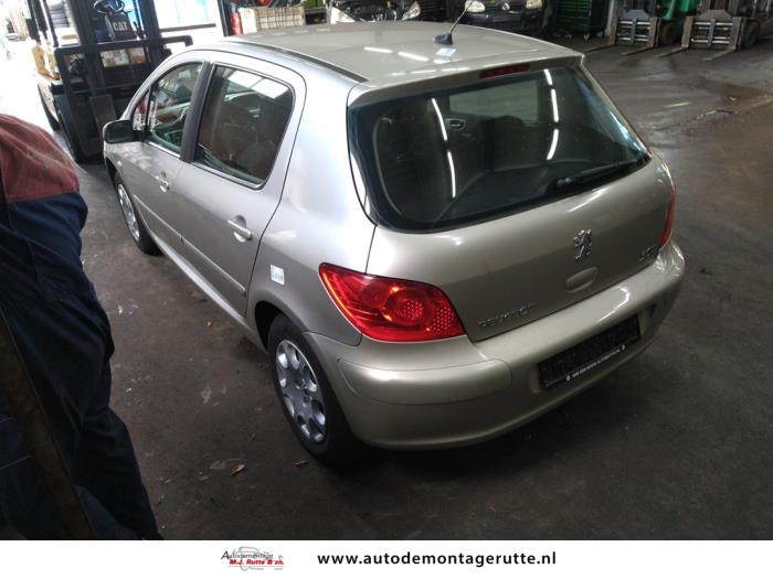 Peugeot 307 1.4 16V Sloopvoertuig (2006, Grijs)