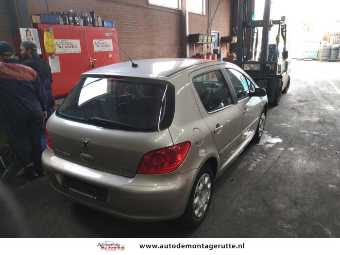 Peugeot 307 1.4 16V Sloopvoertuig (2006, Grijs)
