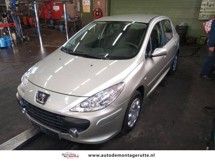 Peugeot 307 1.4 16V Sloopvoertuig (2006, Grijs)