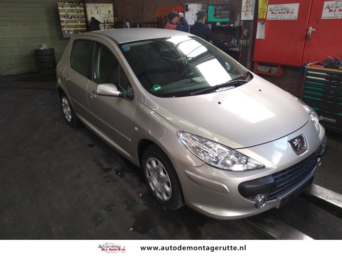 Peugeot 307 1.4 16V Sloopvoertuig (2006, Grijs)