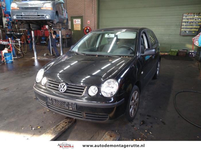 Volkswagen Polo (V108464)