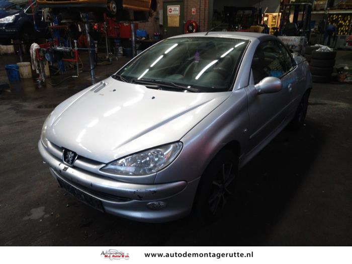 Peugeot 206 (V108607)